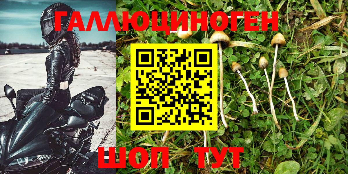 Мурманск  Псилоцибиновые грибы Magic Shrooms  Вход с VPN 