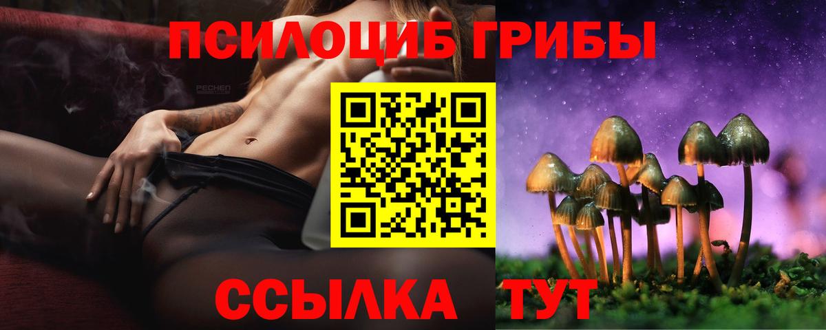 Псилоцибиновые грибы GOLDEN TEACHER Мурманск